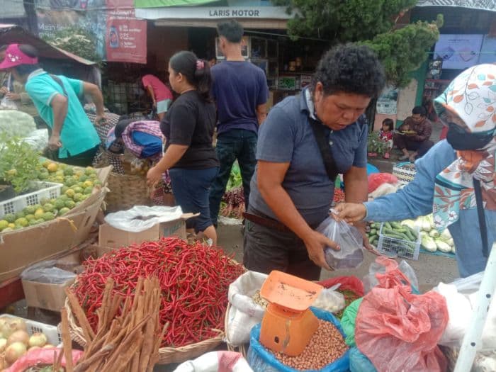 harga_cabai_merah_anjlok_andaliman_rp500_ribu_per_kg_di_toba