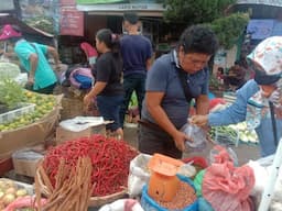 harga_cabai_merah_anjlok_andaliman_rp500_ribu_per_kg_di_toba