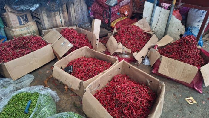 harga_cabai_merah_di_medan_mulai_turun_bawang_merah_naik