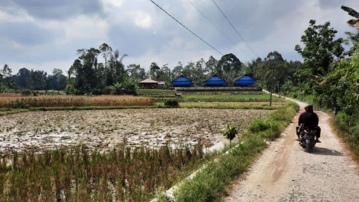 luas_baku_sawah_di_simalungun_menyusut_3000_hektare