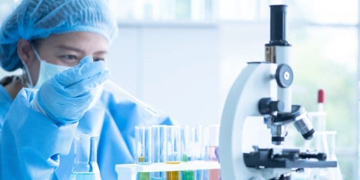 ilmuwan_peringatkan_ancaman_jamur_mematikan_aspergillus_di_tengah_perubahan_iklim