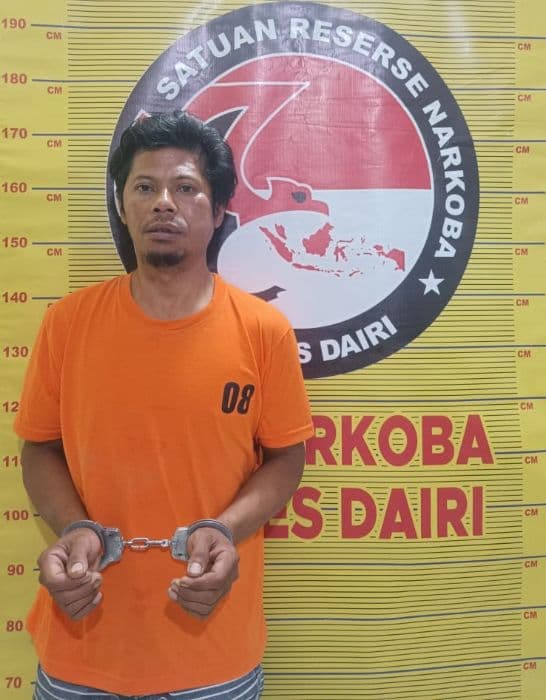 sembunyi_di_gubuk_pria_bawa_sabu_1662_gram_ditangkap_sat_narkoba_polres_dairi