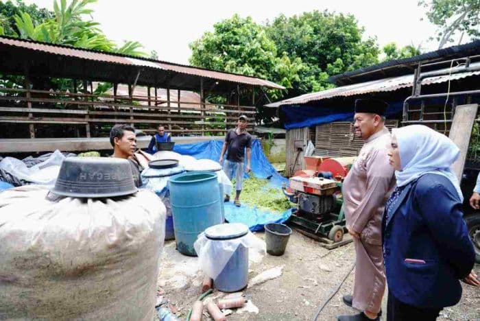 bupati_bahar_dorong_ekonomi_lokal_lewat_ternak_kambing