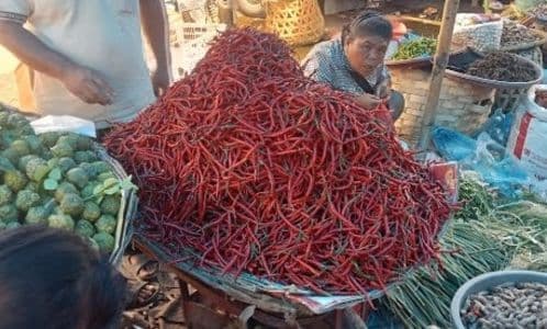 harga_cabai_merah_di_porsea_turun_dalam_sehari_pedagang_pasokan_meningkat