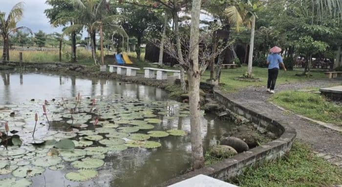 sawah_lukis_wisata_alam_bernuansa_ubud_yang_viral_di_kota_binjai_