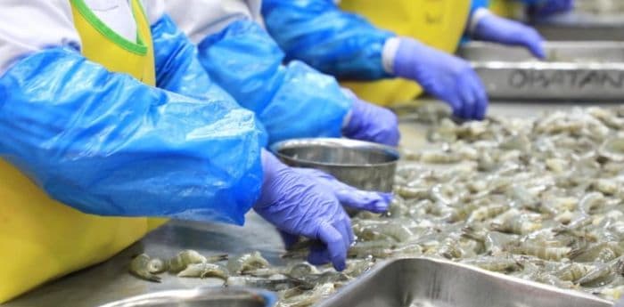 ekspor_udang_ri_ke_as_terancam_imbas_cs137_pemerintah_lobi_fda_