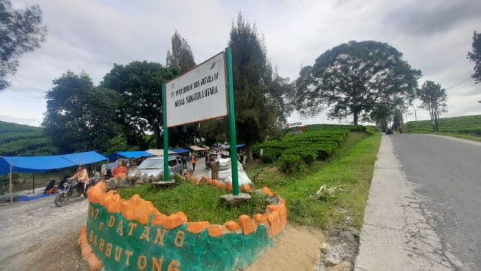 komisi_ii_dprd_simalungun_akan_temui_bp_bumn_bahas_kebun_teh_sidamanik