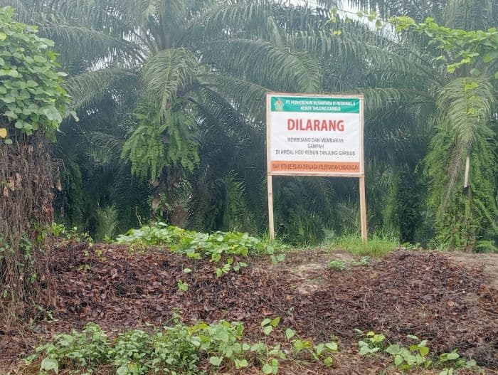 warga_resah_narkoba_dijual_di_kebun_sawit_kecamatan_pagar_merbau_deli_serdang