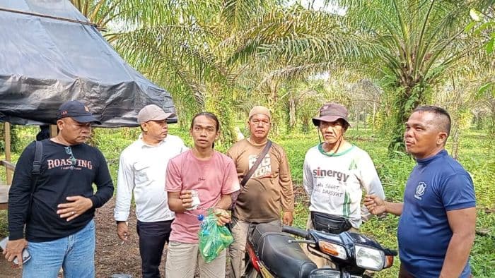 hendak_jual_sabu_di_kebun_sawit_ahmad_ditangkap_tni
