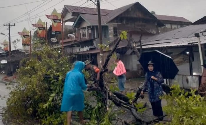 pohon_tumbang_nyaris_timpa_rumah_warga_lalu_lintas_sibolgabarus_sempat_macet