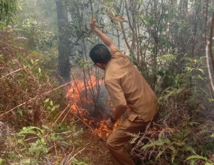 kebakaran_kembali_landa_bukit_sibodiala_toba
