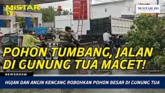 newsroom_hujan_dan_angin_kencang_robohkan_pohon_besar_di_gunung_tua