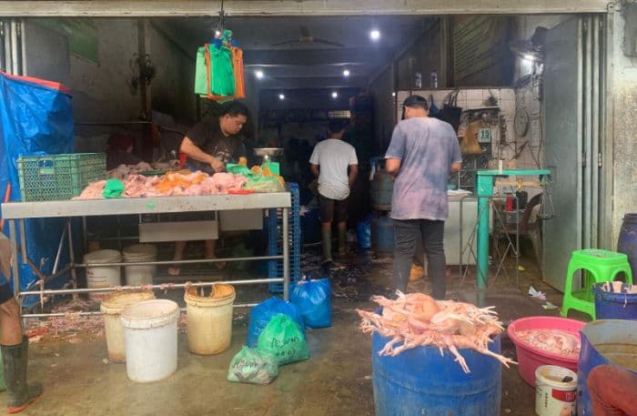 harga_turun_permintaan_ayam_potong_di_pasar_sukaramai_berkurang