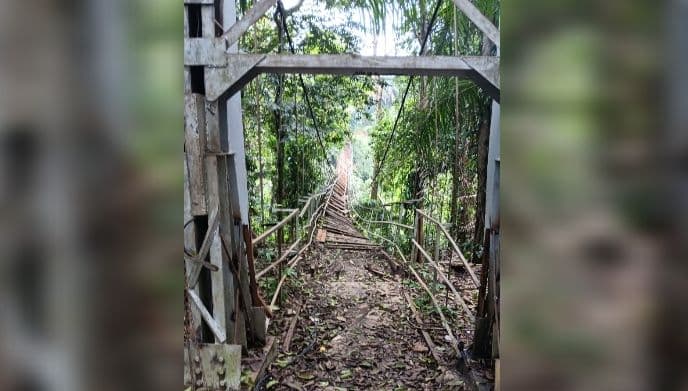pemanen_sawit_tewas_terjatuh_dari_jembatan_gantung_tua