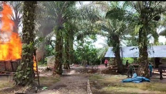 lapak_judi_dadu_dan_laga_ayam_di_deli_serdang_dibakar_tni