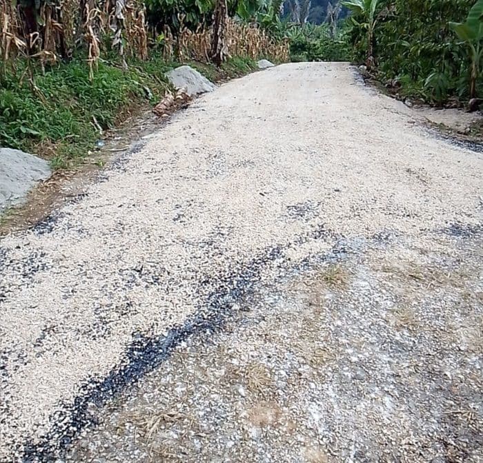kadis_pmd_dairi_tanggapi_proyek_dd_2024_yang_dikerjakan_maret_2025