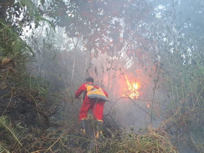 kebakaran_hutan_di_bukit_parapat_diduga_akibat_pembakaran_lahan