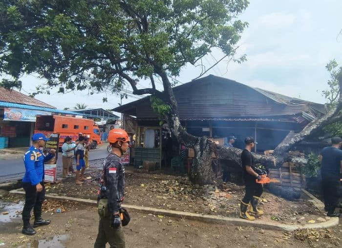 pohon_besar_tumbang_di_binjai_timpa_warung_warga