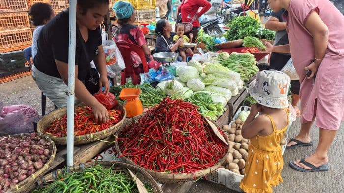 harga_sayur_melambung_penjual_susah_balik_modal