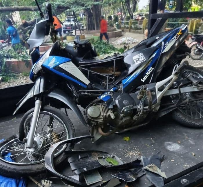 siswa_sma_korban_pohon_tumbang_di_langkat_meninggal_dunia