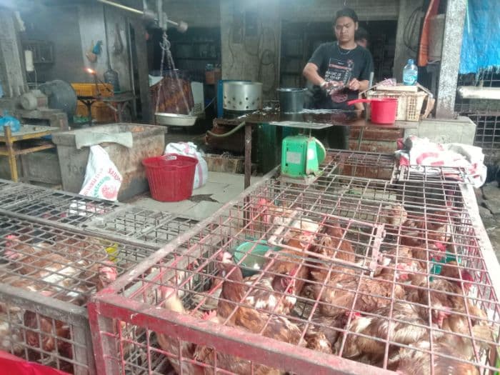 harga_ayam_potong_di_pasar_onan_toba_naik