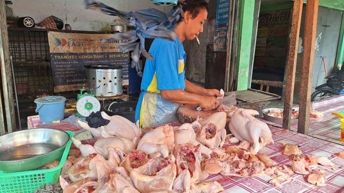 harga_daging_ayam_ras_naik_di_medan_pengamat_bertahan_hingga_awal_oktober