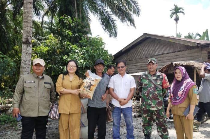 tingkatkan_produksi_dinas_pertanian_simalungun_bagikan_300_ton_bibit_padi