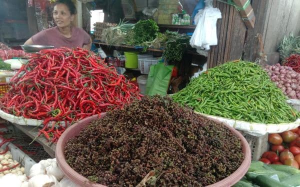 harga_andaliman_di_toba_turun_jadi_rp350_ribu_per_kg_bahan_pokok_tetap_stabil_