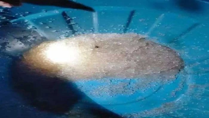 fenomena_hujan_jelly_gegerkan_warga_di_gorontalo_utara