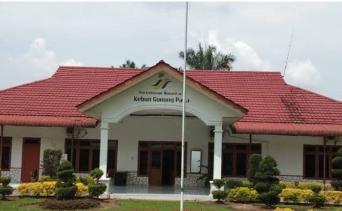 pensiunan_ptpn_iv_gunung_para_kecewa_uang_beras_dihentikan_tanpa_penjelasan