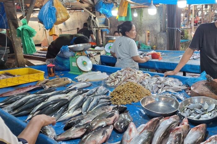 harga_ikan_melambung_pedagang_ada_yang_tak_jualan