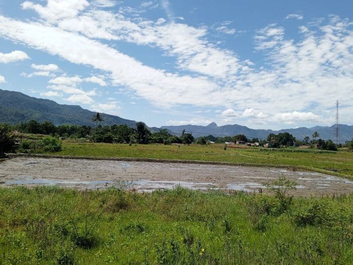 petani_di_toba_sulit_mendapatkan_benih_ikan_mas_berkualitas