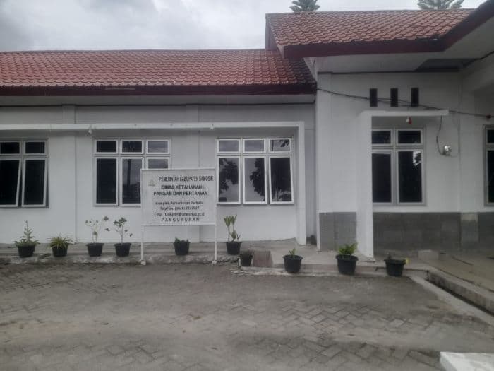 kemarau_panjang_ganggu_penyaluran_pupuk_subsidi_di_samosir