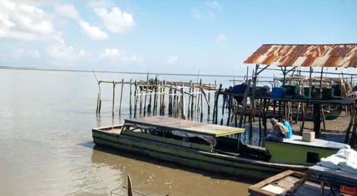 usulan_bulog_ikan_dinilai_masuk_akal_ini_tantangan_yang_harus_dihadapi