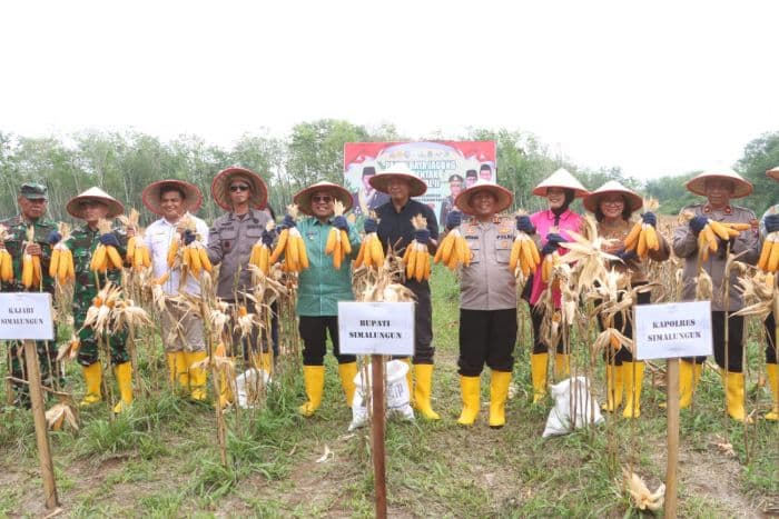 polres_simalungun_salurkan_hasil_panen_jagung_ke_bulog