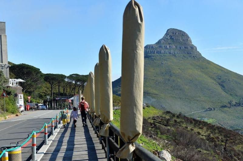 cape_town_dinobatkan_sebagai_kota_terbaik_dunia_2025_oleh_majalah_time_out