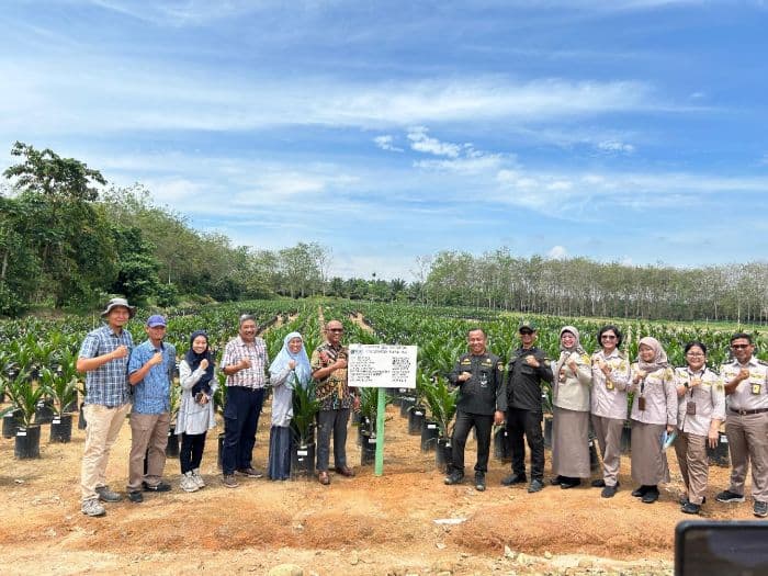 karantina_sumut_tanam_4921_bibit_sawit_dalam_pemulihan_kelestarian_hayati