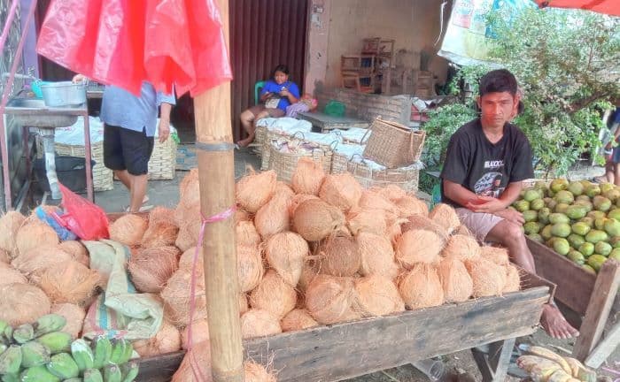 harga_kelapa_dan_cabai_merah_di_pasar_tradisional_toba_naik_