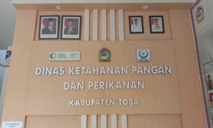 benih_ikan_mas_terbatas_penyebab_bbi_di_toba_belum_aktif
