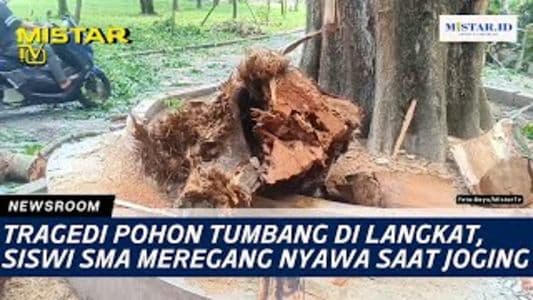 newsroom_tragedi_pohon_tumbang_di_langkat_siswi_sma_meregang_nyawa_saat_joging