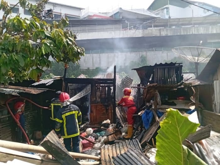 puluhan_babi_selamat_dari_kebakaran_di_simalungun_