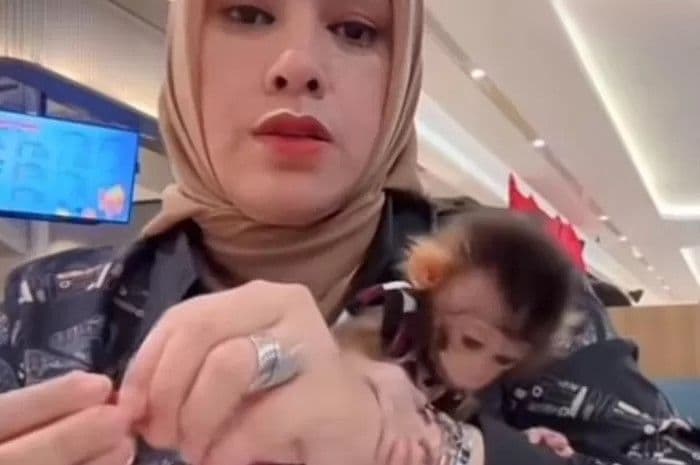 viral_emakemak_bawa_monyet_ke_mall_aksi_nyeleneh_ini_bikin_pengunjung_terkejut