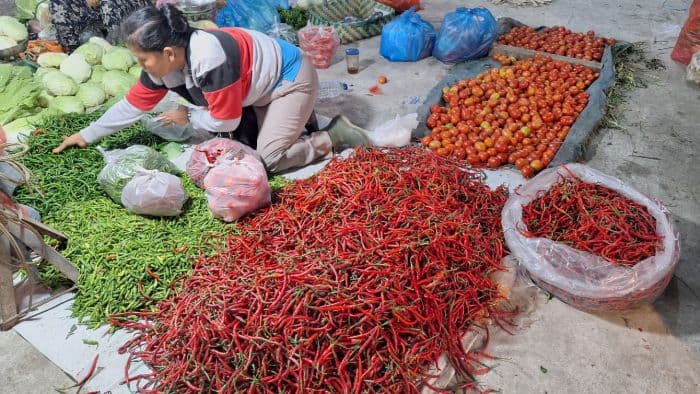 harga_cabai_dan_bawang_merah_fluktuatif_di_medan