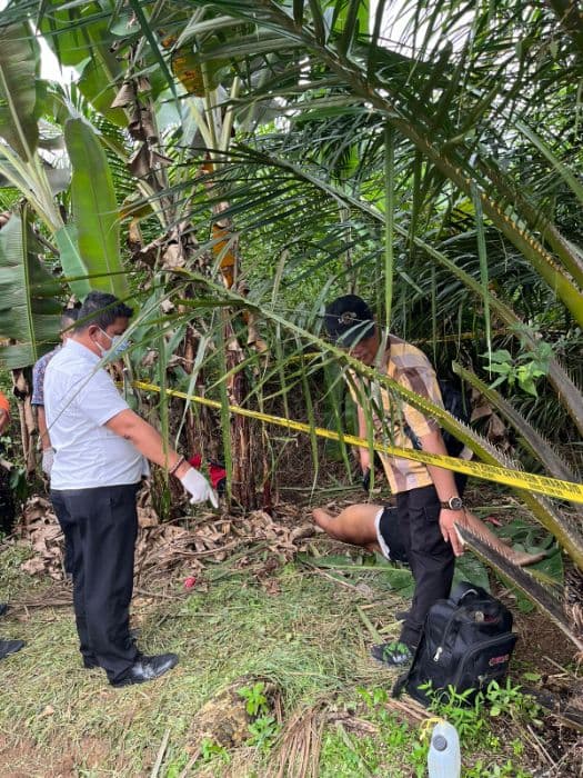 mayat_pria_ditemukan_di_kebun_sawit_warga_palas_geger