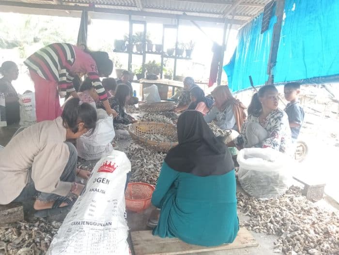 harga_ikan_asin_kepala_batu_di_teluk_mengkudu_stabil