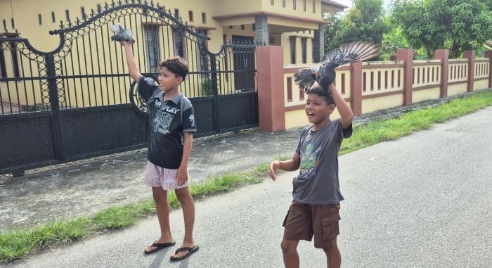 manfaatkan_libur_sekolah_tanpa_gadget_anakanak_di_binjai_main_burung_merpati_