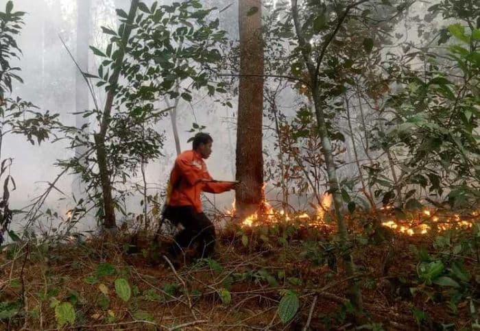 karhutla_girsang_sipangan_bolon_sulit_dipadamkan_akibat_medan_curam