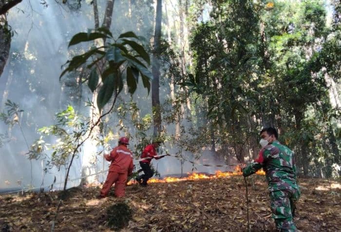 kebakaran_hutan_di_simalungun_meluas