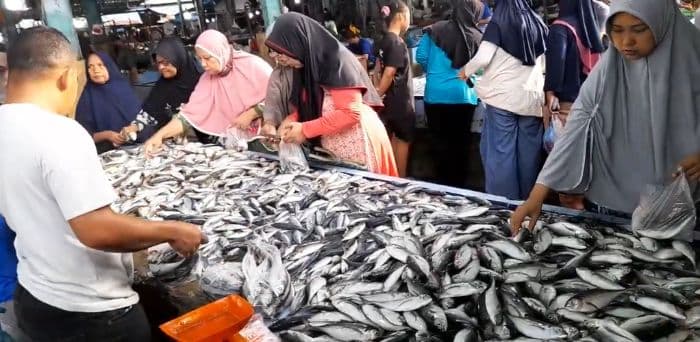 stok_ikan_sudah_normal_di_asahan_harga_stabil