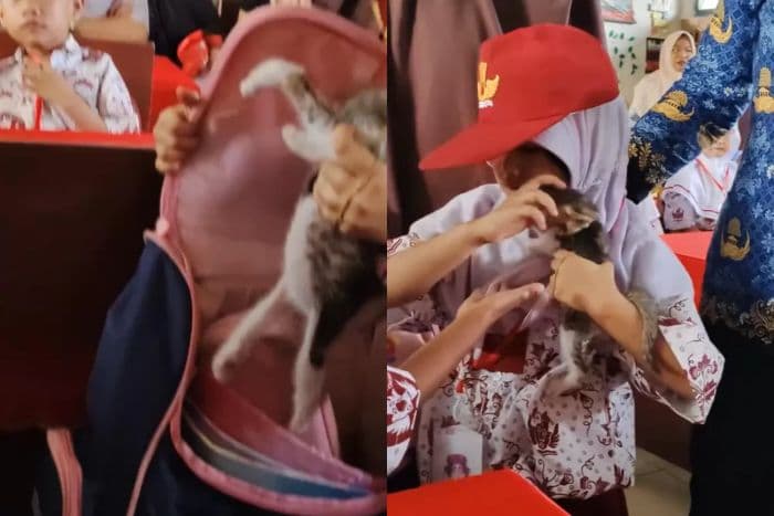 viral_siswi_sd_bawa_kucing_dalam_tas_saat_mpls_netizen_gemas_dan_salut